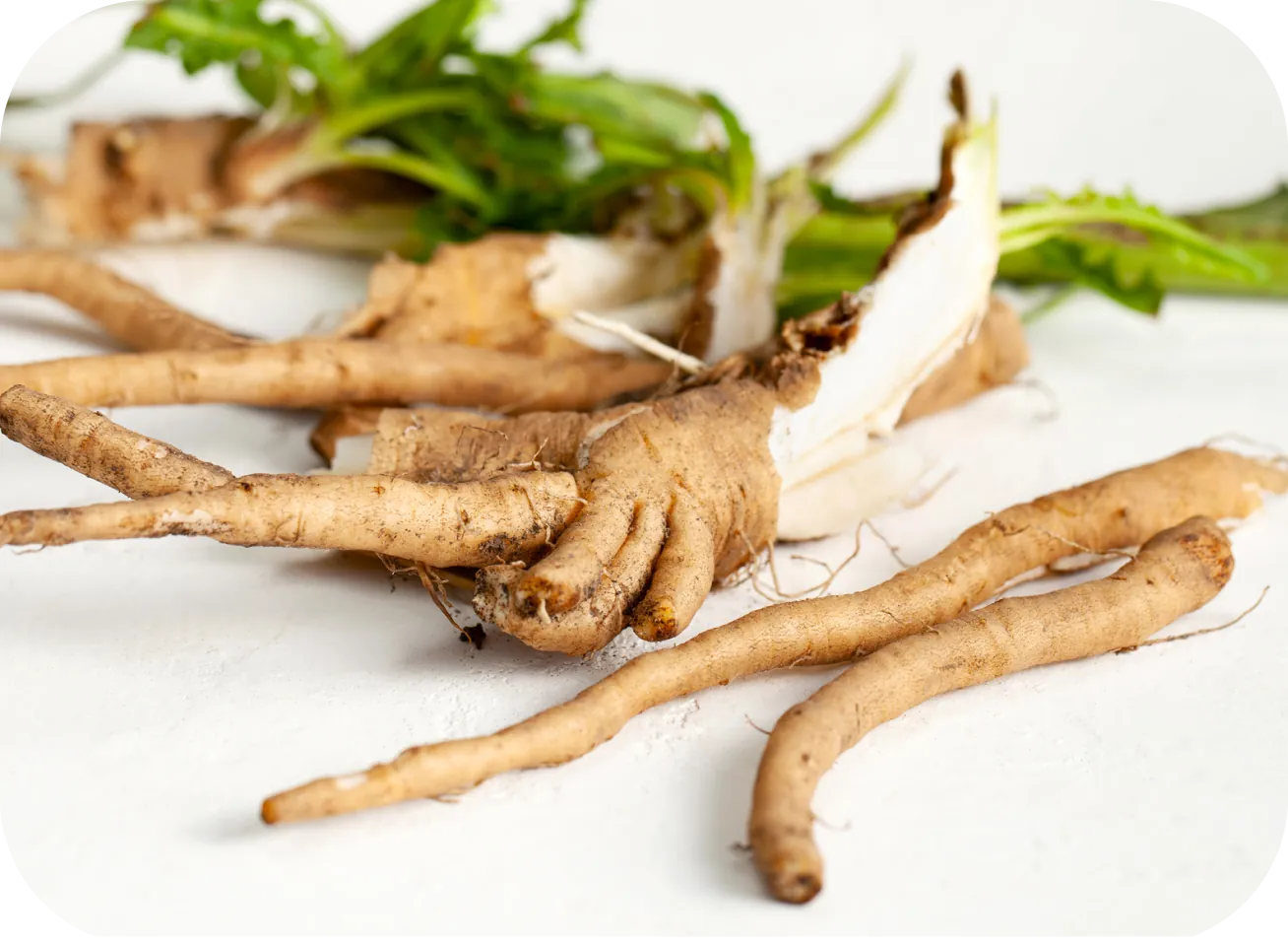 Chicory root inulin