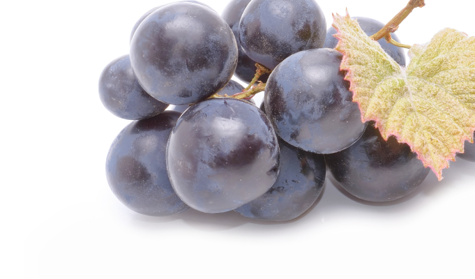 Resveratrol
